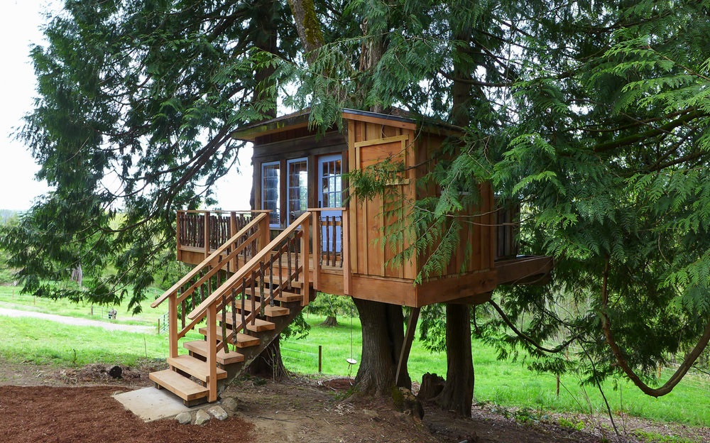 小树屋-森林木屋山间木房子