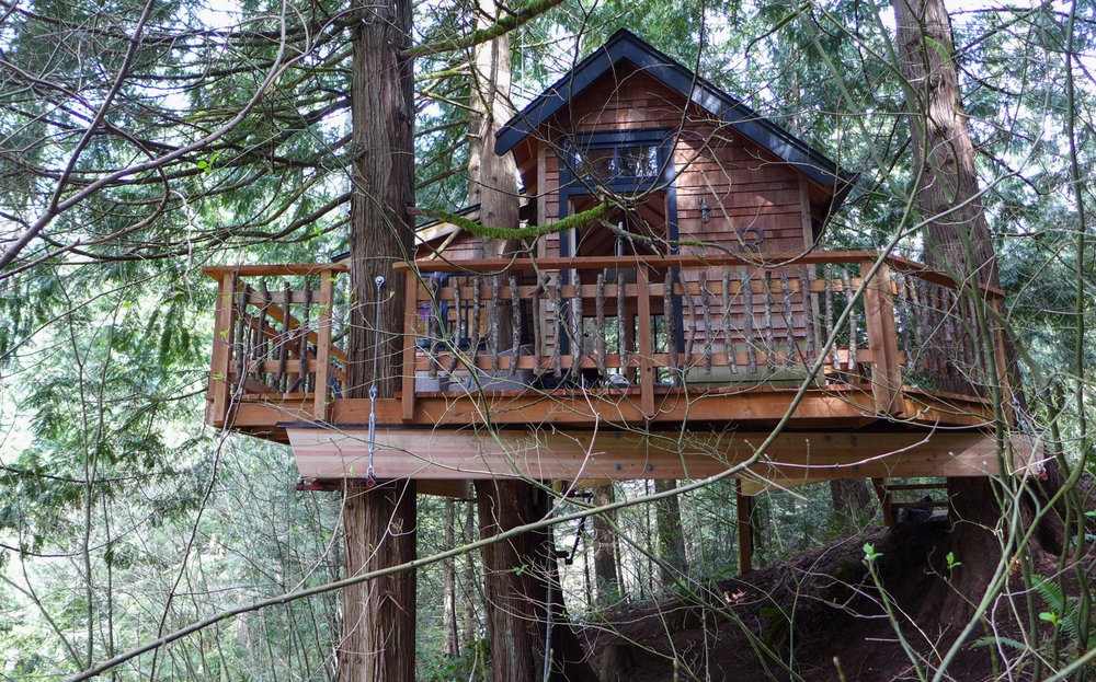 小树屋-森林木屋山间木房子