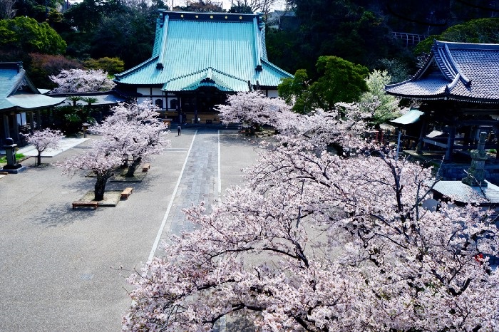 Komyoji寺庙